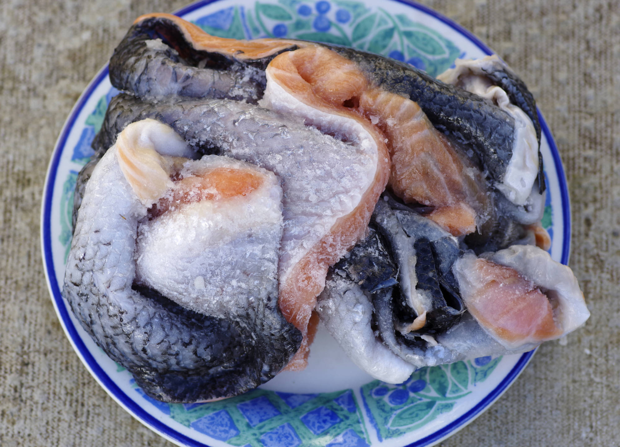fish