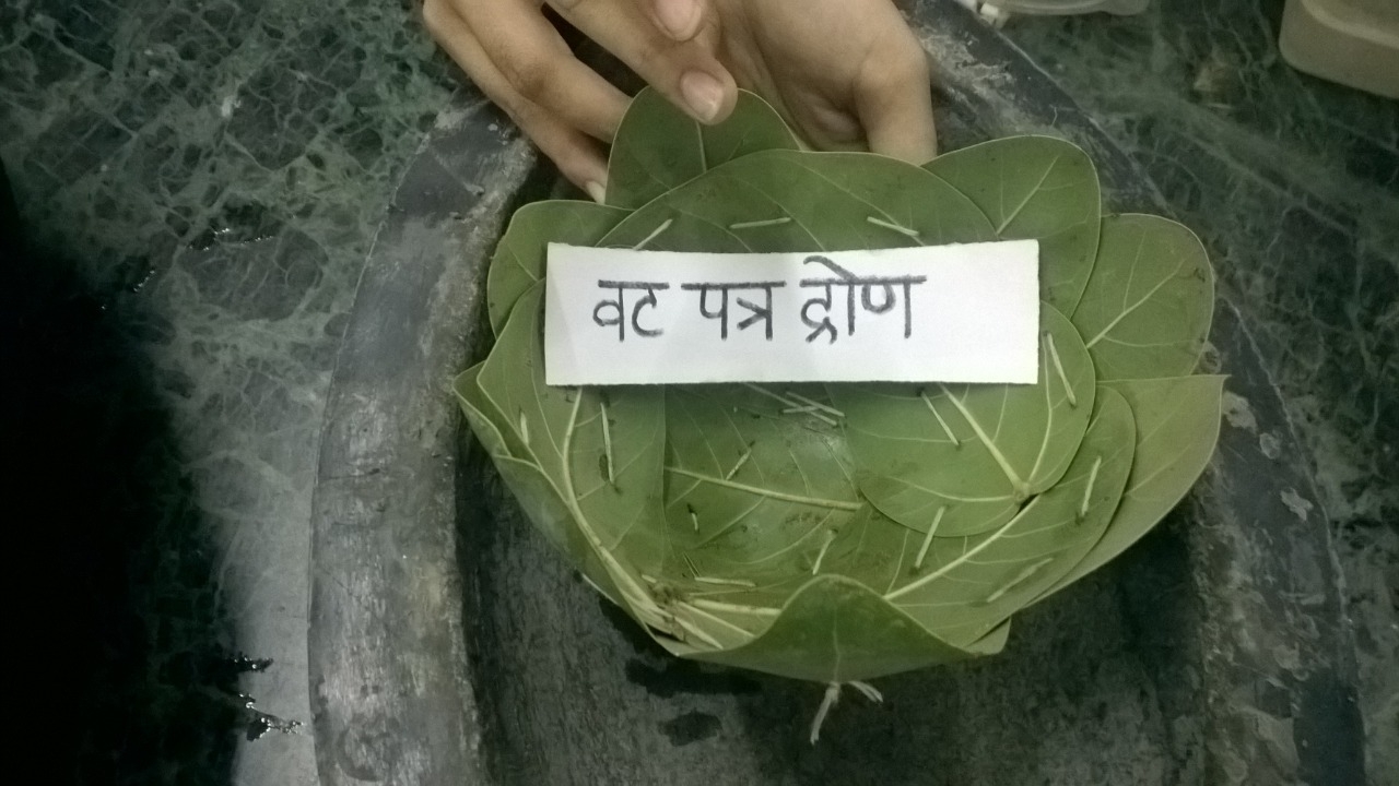 https://www.ayuryog.org/sites/default/files/fig_leaf_bowl_0.jpg