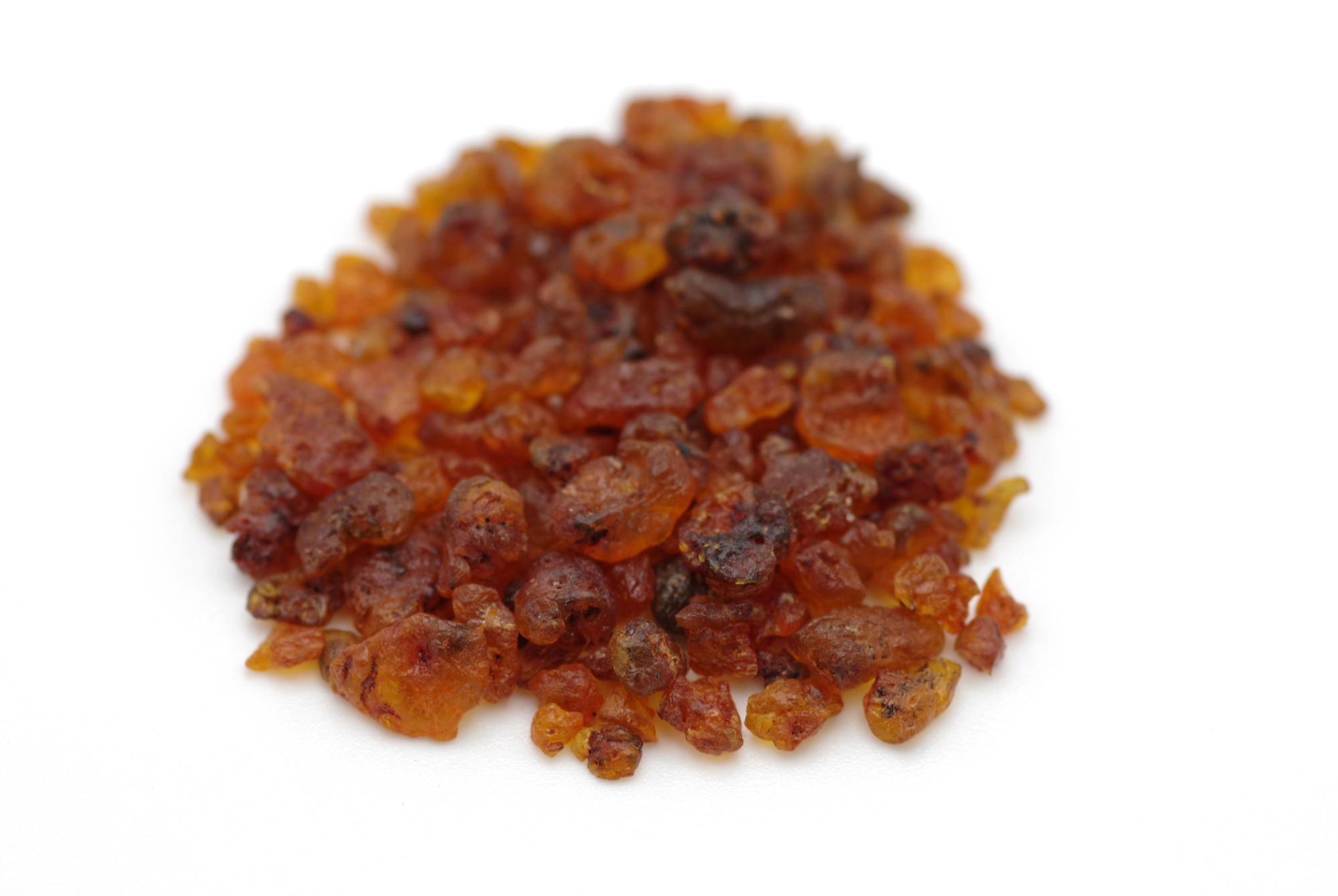 Seed lac